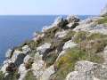 2005 Les Pointes (26)